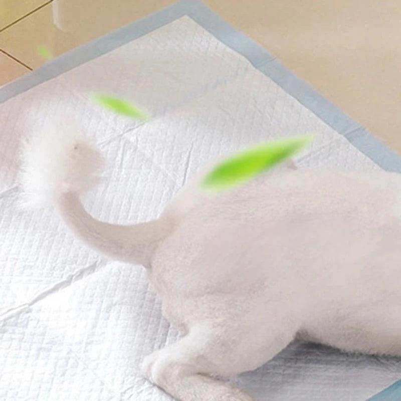 20/30/50 Pieces Pet Diapers Disposable Dog Training Pee Pads Absorbent Healthy Clean Mat for Pets Diaper Supplies Pet Products