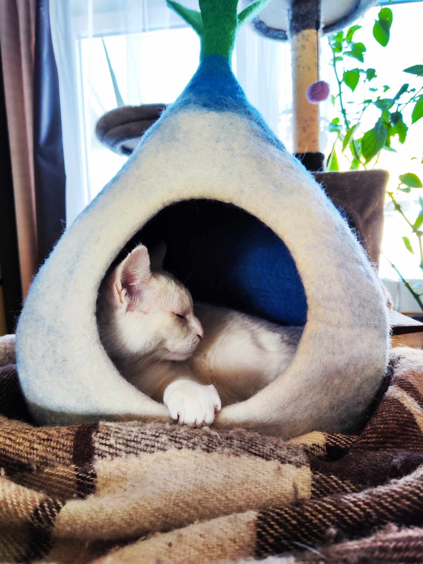 Katt igloo av 100% ull. Rea så länge lagret räcker 50% rabatt på alla kattgrottor.