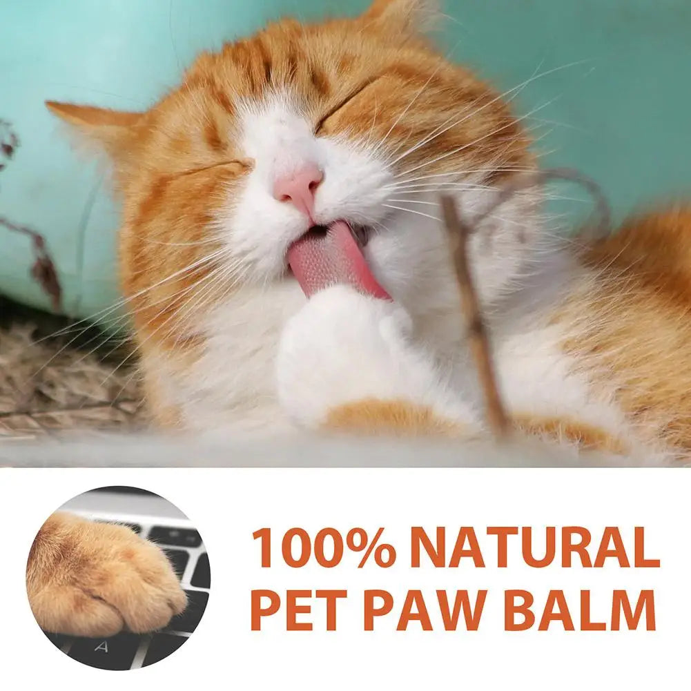 Dog Paw Balm 30g, Kräm för torra spruckna tassar, innehåller solrosolja och vax.